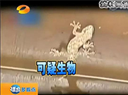 萬能的朋友圈，如果你能解釋通這組圖；凈水設(shè)備就可以不要了